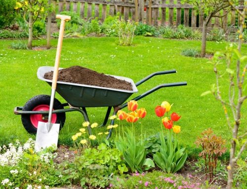 Les bons gestes pour un entretien écologique de votre jardin